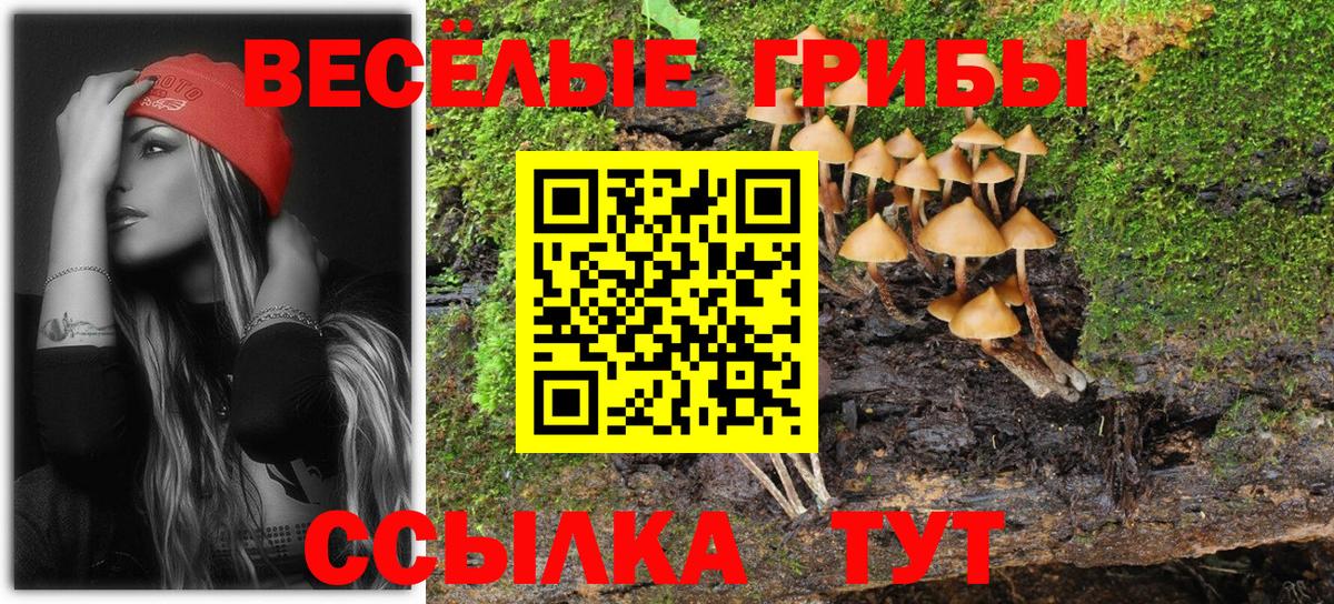 Чебоксары  Псилоцибиновые грибы Psilocybine cubensis  Псилоцибиновые грибы Cubensis  Вход с VPN 